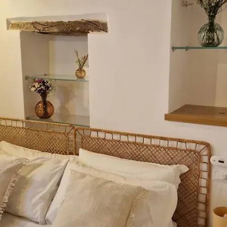 Domusrebire 4*